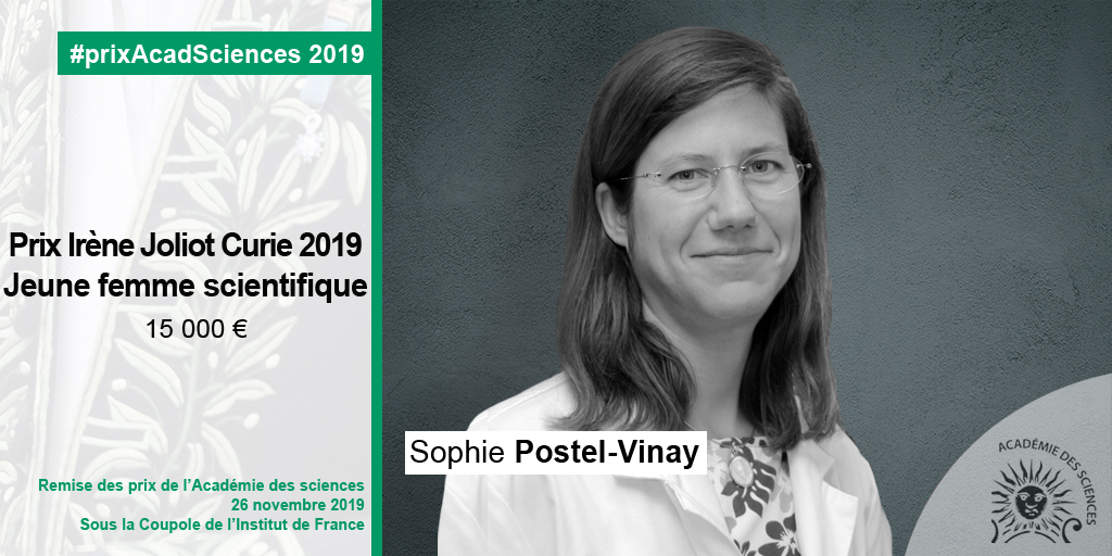Sophie Postel-Vinay