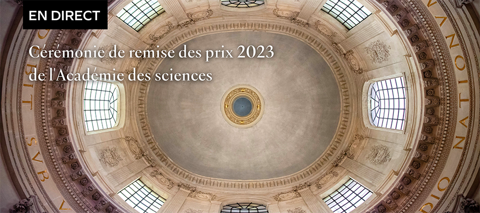 Cérémonie de remise des prix 2023