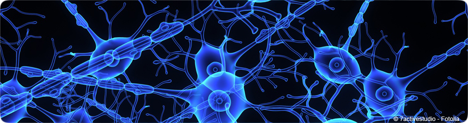 Neurones