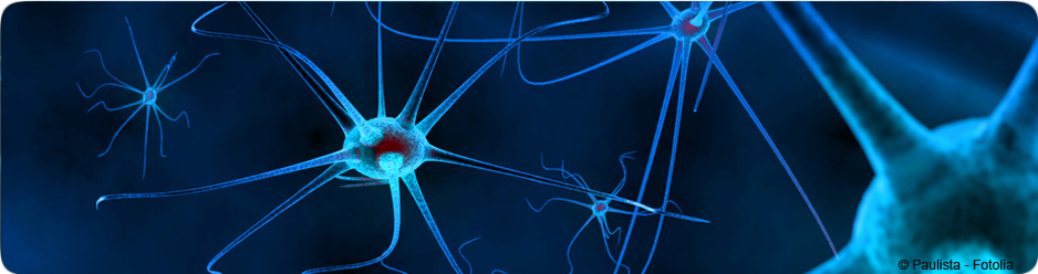 Neurologie