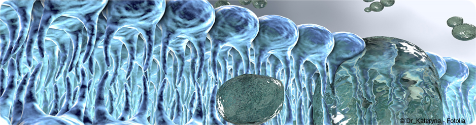 Membrane