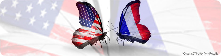 Rencontre de papillons américain et français