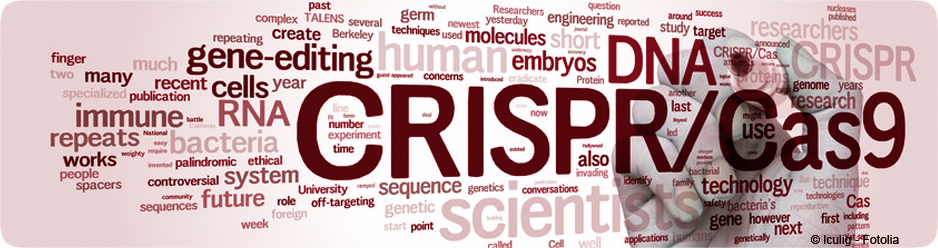 CRISPR/Cas9