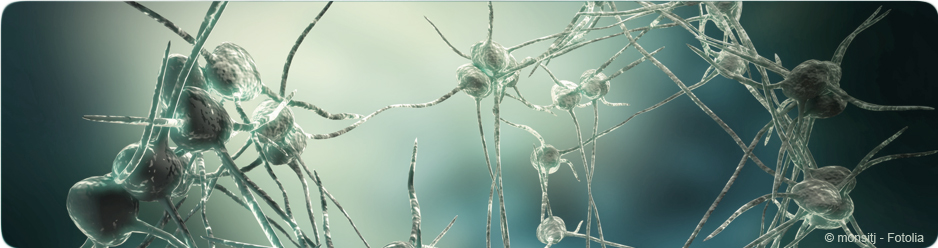 Cellules nerveuses et virus