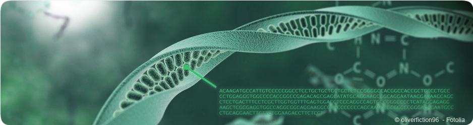 ADN dans une cellule