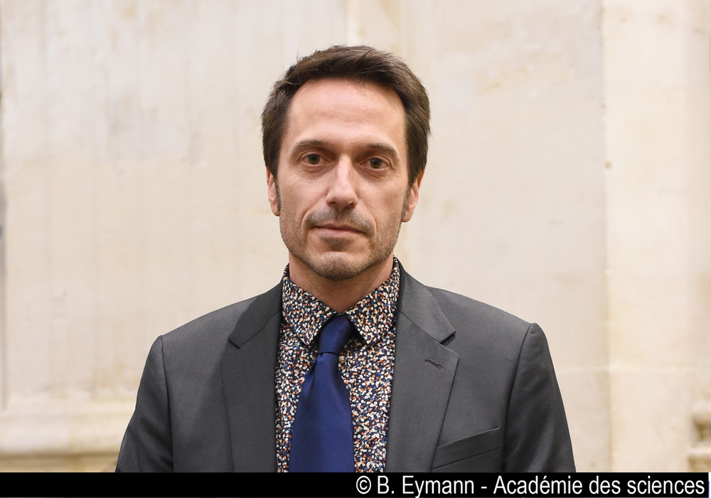Frédéric Saudou