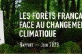Rapport forêt