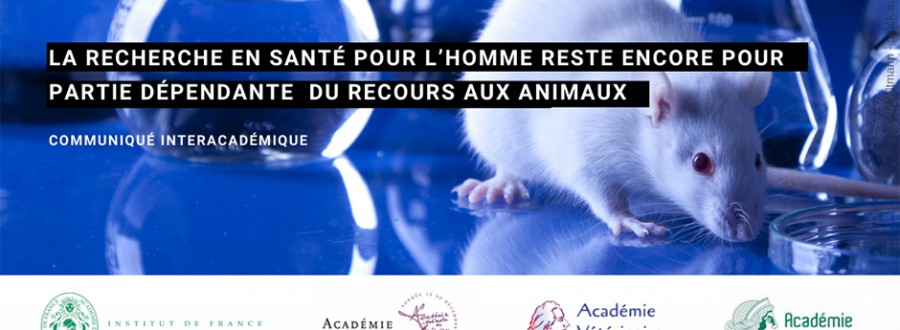 expérimentation animale