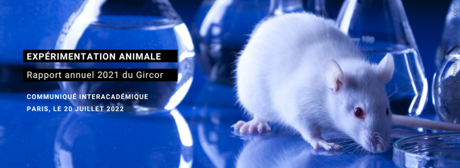 expérimentation animale