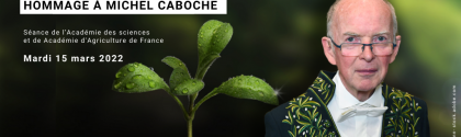 Hommage à Michel Caboche