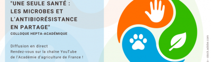 Concept One Health