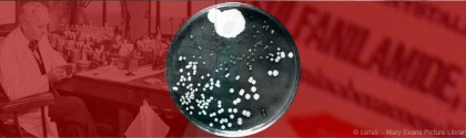 Antibiotiques et sulfamides