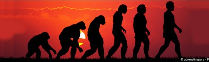 Évolution