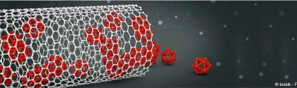 Nanoparticules