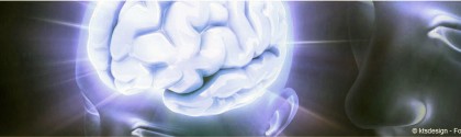 Cerveau
