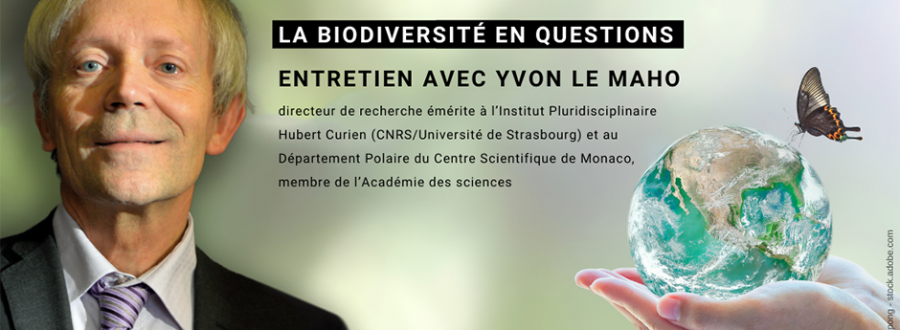 Entretien avec Yvon Le Maho