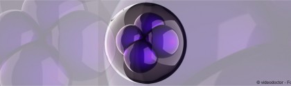 Division cellulaire
