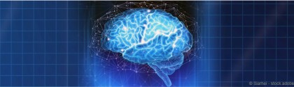 Cerveau