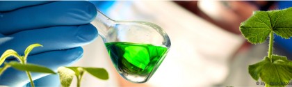 Chimie verte