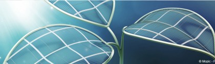 Feuille artificielle à panneaux solaires