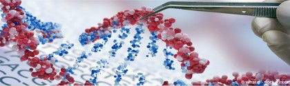 Crispr