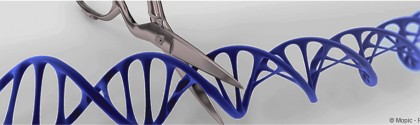 Crispr