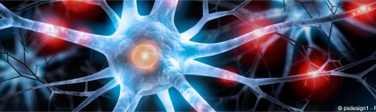 Neurones