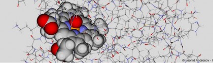 Myoglobine en 3d