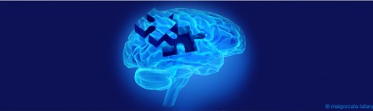 Cerveau