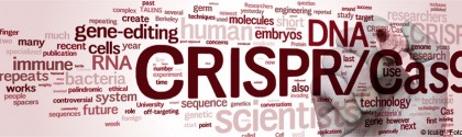 CRISPR/Cas9