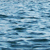 Mer