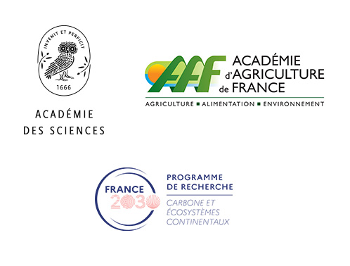 LOGOS PROJET